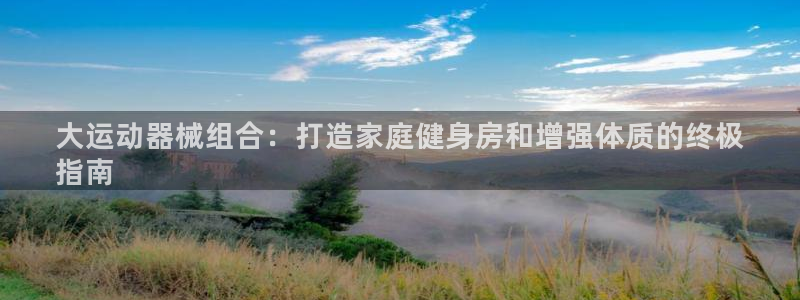 尊龙手机官方客户端下载:大运动器械组合:打造家庭健身房和增强