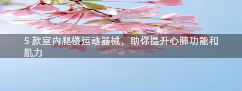 尊龙旗舰厅:5 款室内爬楼运动器械,助你提升心肺功能和
肌力